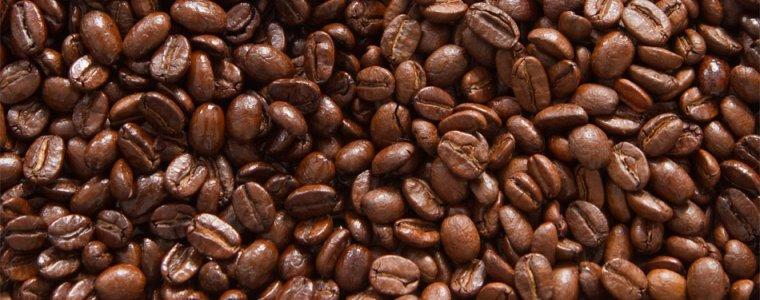 imagen de granos de café en Coatepec