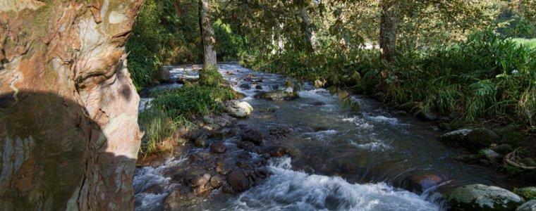 rios y bosques en Coatepec