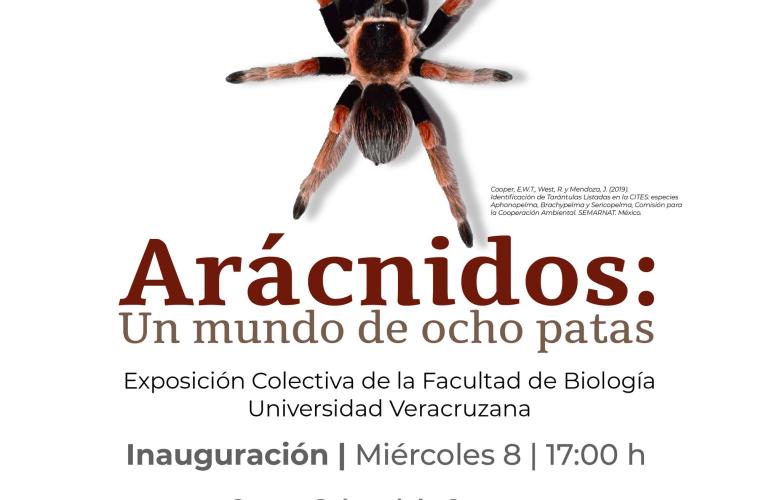 invitación a la exposición de aracnidos 