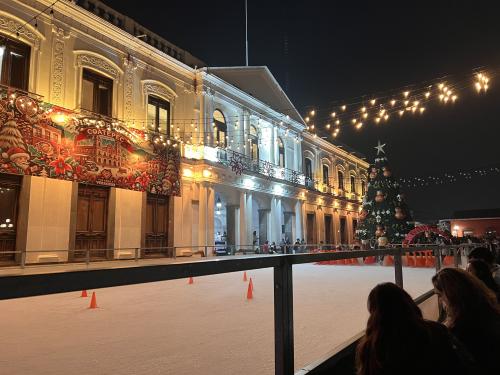 Llego la navidad a Coatepec