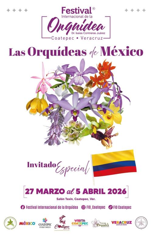 Festival de la orquidea en Coatepec