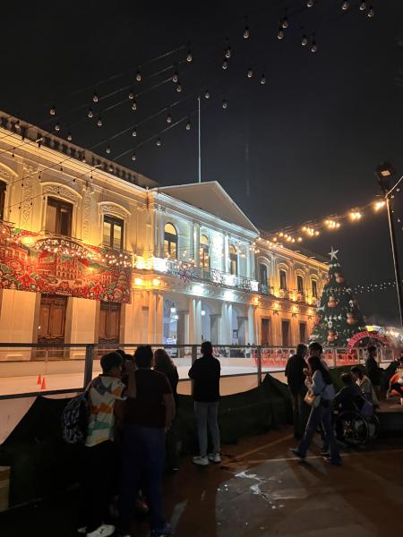 palacio municipal en epoca de navidad en coatepec