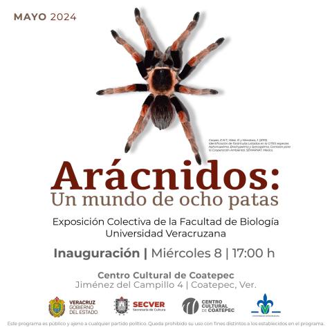 invitación a la exposición de aracnidos 